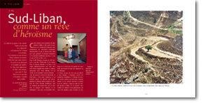 Sud liban